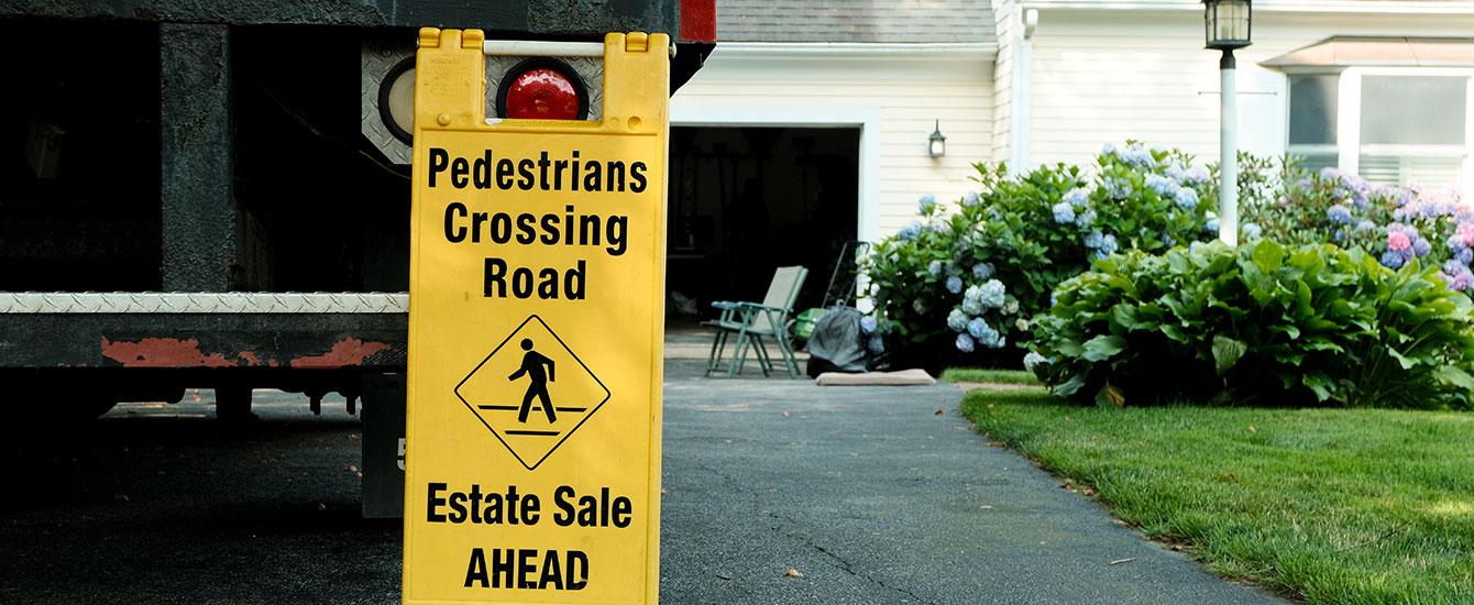 Chasing Dragonflies (Fitchburg State University)