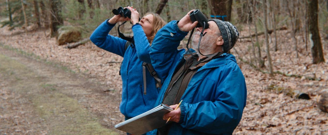 The Forest In The Trees